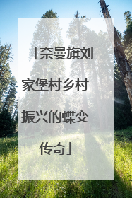奈曼旗刘家堡村乡村振兴的蝶变传奇