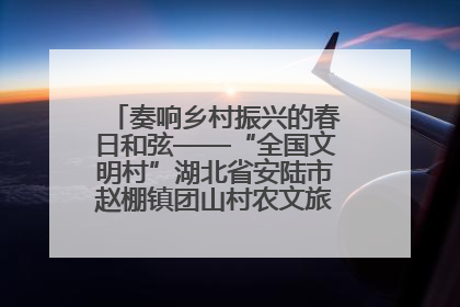 奏响乡村振兴的春日和弦——“全国文明村”湖北省安陆市赵棚镇团山村农文旅融合发展见闻