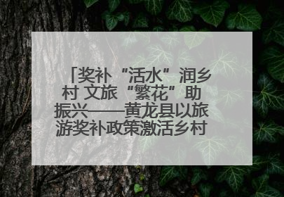 奖补“活水”润乡村 文旅“繁花”助振兴——黄龙县以旅游奖补政策激活乡村振兴新动能