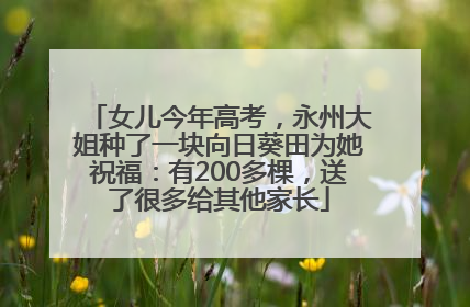 女儿今年高考，永州大姐种了一块向日葵田为她祝福：有200多棵，送了很多给其他家长