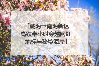 威海→南海新区 高铁半小时穿越网红地标与秘境海岸