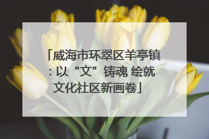 威海市环翠区羊亭镇：以“文”铸魂 绘就文化社区新画卷