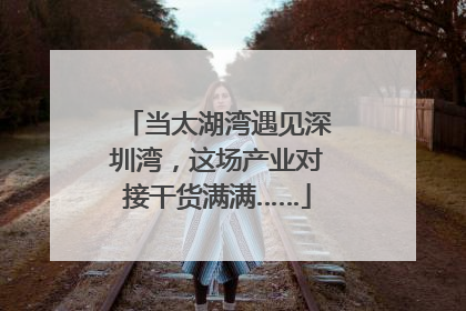 当太湖湾遇见深圳湾，这场产业对接干货满满……