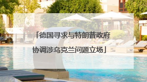 德国寻求与特朗普政府协调涉乌克兰问题立场