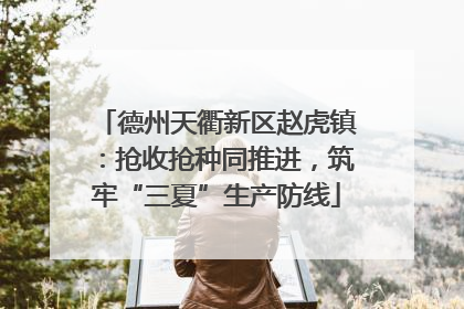 德州天衢新区赵虎镇：抢收抢种同推进，筑牢“三夏”生产防线