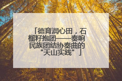 德育润心田，石榴籽抱团——奏响民族团结协奏曲的“天山实践”
