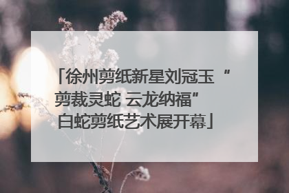 徐州剪纸新星刘冠玉“剪裁灵蛇 云龙纳福” 白蛇剪纸艺术展开幕