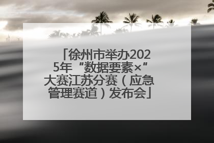 徐州市举办2025年“数据要素×”大赛江苏分赛（应急管理赛道）发布会
