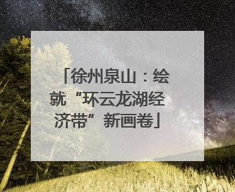 徐州泉山：绘就“环云龙湖经济带”新画卷
