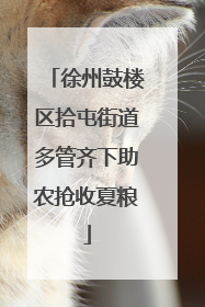 徐州鼓楼区拾屯街道多管齐下助农抢收夏粮