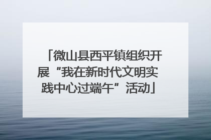 微山县西平镇组织开展“我在新时代文明实践中心过端午”活动