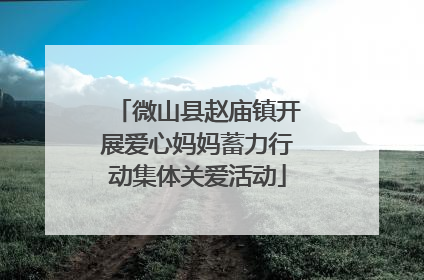 微山县赵庙镇开展爱心妈妈蓄力行动集体关爱活动