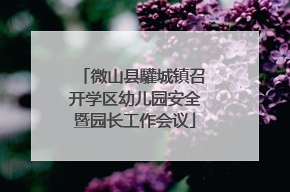 微山县驩城镇召开学区幼儿园安全暨园长工作会议