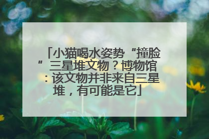 小猫喝水姿势“撞脸”三星堆文物？博物馆：该文物并非来自三星堆，有可能是它