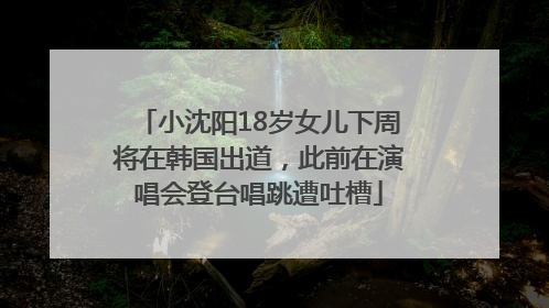 小沈阳18岁女儿下周将在韩国出道，此前在演唱会登台唱跳遭吐槽