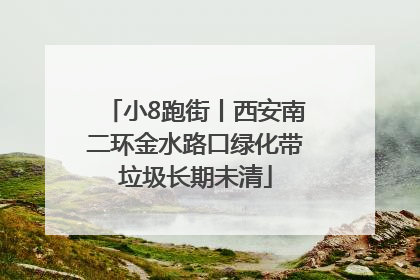 小8跑街丨西安南二环金水路口绿化带垃圾长期未清