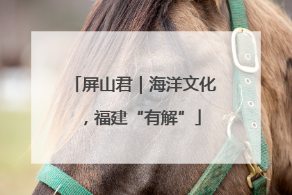 屏山君｜海洋文化，福建“有解”