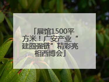 展馆1500平方米！广安产业“建圈强链”精彩亮相西博会