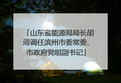 山东省能源局局长胡薄调任滨州市委常委、市政府党组副书记