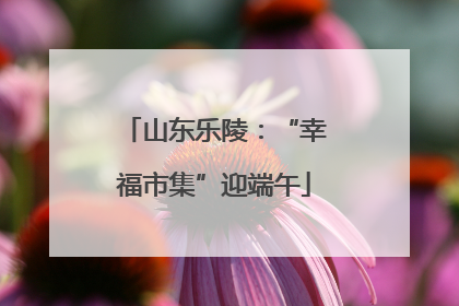 山东乐陵：“幸福市集”迎端午
