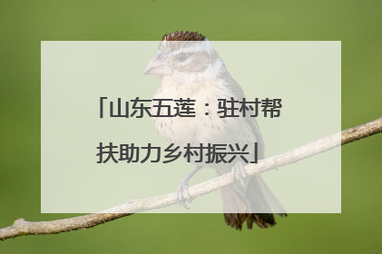 山东五莲：驻村帮扶助力乡村振兴