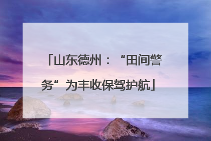 山东德州：“田间警务”为丰收保驾护航