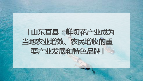 山东莒县：鲜切花产业成为当地农业增效、农民增收的重要产业发展和特色品牌