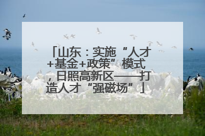 山东：实施“人才+基金+政策”模式，日照高新区——打造人才“强磁场”