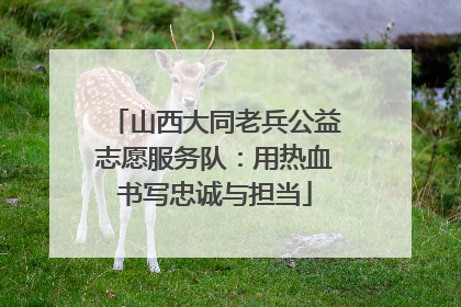 山西大同老兵公益志愿服务队：用热血书写忠诚与担当