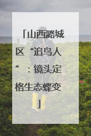 山西潞城区“追鸟人”：镜头定格生态蝶变