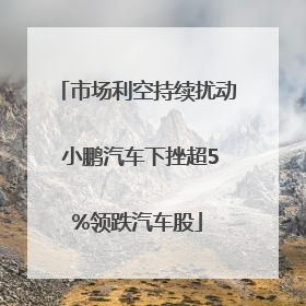 市场利空持续扰动 小鹏汽车下挫超5%领跌汽车股