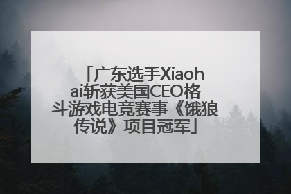 广东选手Xiaohai斩获美国CEO格斗游戏电竞赛事《饿狼传说》项目冠军