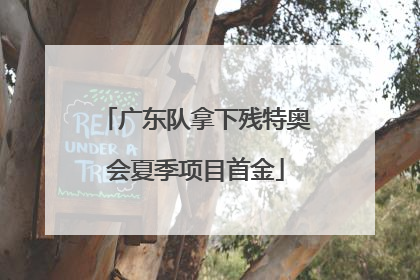 广东队拿下残特奥会夏季项目首金