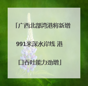 广西北部湾港将新增991米深水岸线 港口吞吐能力劲增