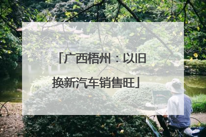广西梧州：以旧换新汽车销售旺