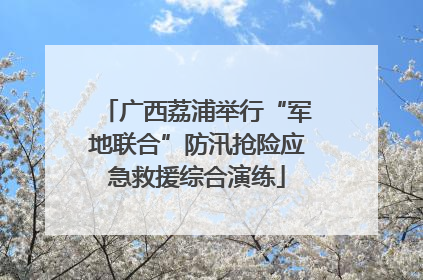 广西荔浦举行“军地联合”防汛抢险应急救援综合演练