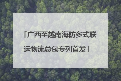 广西至越南海防多式联运物流总包专列首发