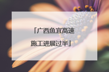 广西鱼宜高速施工进展过半