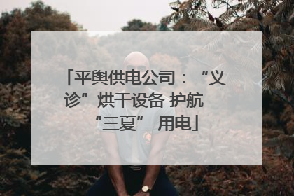 平舆供电公司：“义诊”烘干设备 护航 “三夏” 用电