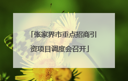 张家界市重点招商引资项目调度会召开