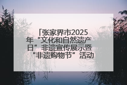 张家界市2025年“文化和自然遗产日”非遗宣传展示暨“非遗购物节”活动在慈利县盛大启幕