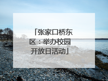 张家口桥东区：举办校园开放日活动