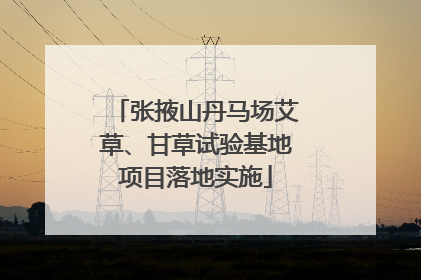 张掖山丹马场艾草、甘草试验基地项目落地实施