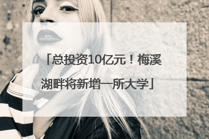 总投资10亿元！梅溪湖畔将新增一所大学