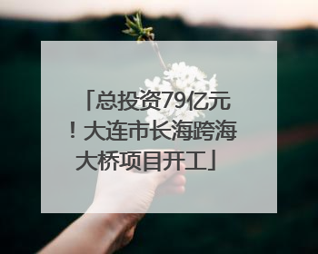 总投资79亿元！大连市长海跨海大桥项目开工