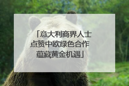 意大利商界人士点赞中欧绿色合作蕴藏黄金机遇