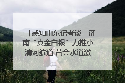 感知山东记者谈｜济南“真金白银”力推小清河航道 黄金水道激活区域经济新动能