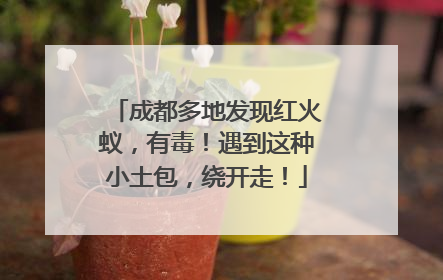 成都多地发现红火蚁，有毒！遇到这种小土包，绕开走！