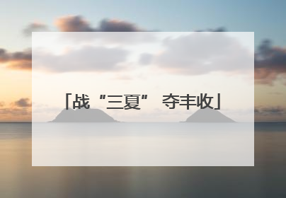 战“三夏” 夺丰收