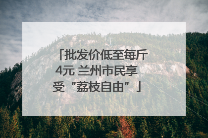 批发价低至每斤4元 兰州市民享受“荔枝自由”